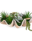 Seaside Breeze - Succulents - Light Brown