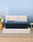 Perfect Sleeper - 14.5" Cobalt Calm Medium Pillow Top Mattress