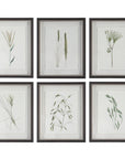 Forest - Finds Framed Prints (Set of 6)