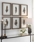 Birds Of A Feather - Framed Prints (Set of 6)
