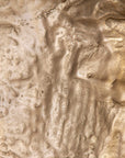 Archive - Wall Decor - Brass