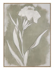 Serene Botanical II Framed Canvas - Beige