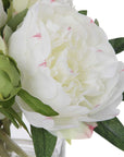 Garden Peony - Bouquet