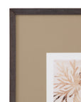 Parchment Coral II Framed Print - Brown