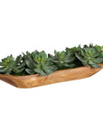 Yuma - Succulent Centerpiece - Dark Brown