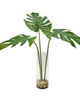 Ibero - Split Leaf Palm - Green