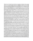 Linear Marks Canvas Art - White