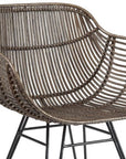Ryanne - Arm Dining Chair Set of 2 - Dark Rattan / Black