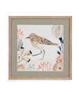 Shell Peppers II Framed Print - White