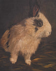 Resting Bunny - Framed Prints (Set of 9) - Dark Brown
