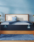 iComfort - 13" Iona Memory Foam Plush Mattress