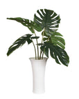 Muse - Monstera Vase Centerpiece - Green / White