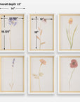 Wild Flourish - Framed Floral Prints (Set of 6) - Light Brown
