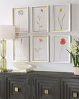 Wild Flourish - Framed Floral Prints (Set of 6) - Light Brown