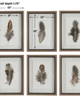 Birds Of A Feather - Framed Prints (Set of 6)