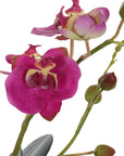 Glory Orchid - Fuchsia Orchid - Silver