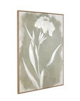 Serene Botanical II Framed Canvas - Beige