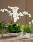 Flourish Orchid - Centerpiece - White