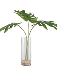 Ibero - Split Leaf Palm - Green
