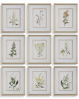 Botanical Flowers - Framed Prints (Set of 9)
