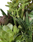Mico - Indoor-Outdoor Succulent Centerpiece - Black,Green