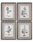 Casual Gray Study - Framed Art (Set of 4) - Beige