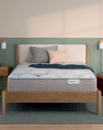 Peaceful Morning - 13.75" Plush Mattress