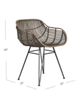 Ryanne - Arm Dining Chair Set of 2 - Dark Rattan / Black