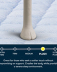Five Star Mattress - Sleep to Go 16" Plush Pillow Top Mattress in a Box