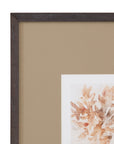 Parchment Coral IV Framed Print - Brown