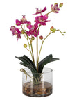 Glory Orchid - Fuchsia Orchid - Silver