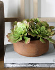 Sable Succulent - Accent In Pot - Brown / Green