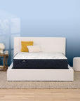 Perfect Sleeper - 10.5" Adoring Night Plush Mattress