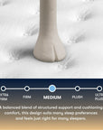 Perfect Sleeper - 13" Cascade Canyon Medium Mattress