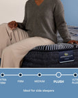 Perfect Sleeper Hybrid - 14" X Prescott Plush Mattress