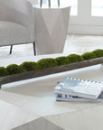 Canal - Moss Centerpiece