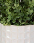 Edgewood - Greenery (Set of 2) - Silver