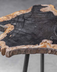 Mircea - Petrified Wood Accent Table - Black & Light Brown