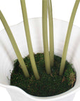 Muse - Monstera Vase Centerpiece - Green / White
