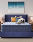 Five Star Mattress - Sleep to Go 16" Plush Pillow Top Mattress in a Box