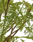 Woodland Fern - Centerpiece - Green