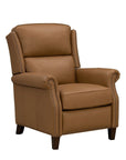 Shasta - Recliner Push Thru The Arm