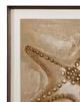 Neutral Starfish Framed Print - Light Brown