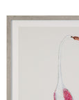 Vintage - Flamingo I Framed Print - Pink