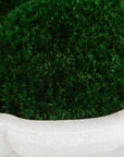 Awaken Moss - Centerpiece - Green / White