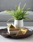 Boston Fern - In White Ceramic Pot - White