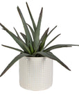 Taos - Aloe Centerpiece - Silver