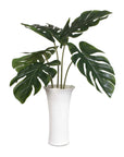 Muse - Monstera Vase Centerpiece - Green / White
