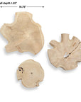 Kalani - Wood Outdoor Wall Art (Set of 3) - Light Brown