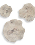 Teo - Wall Decor (Set of 3)
